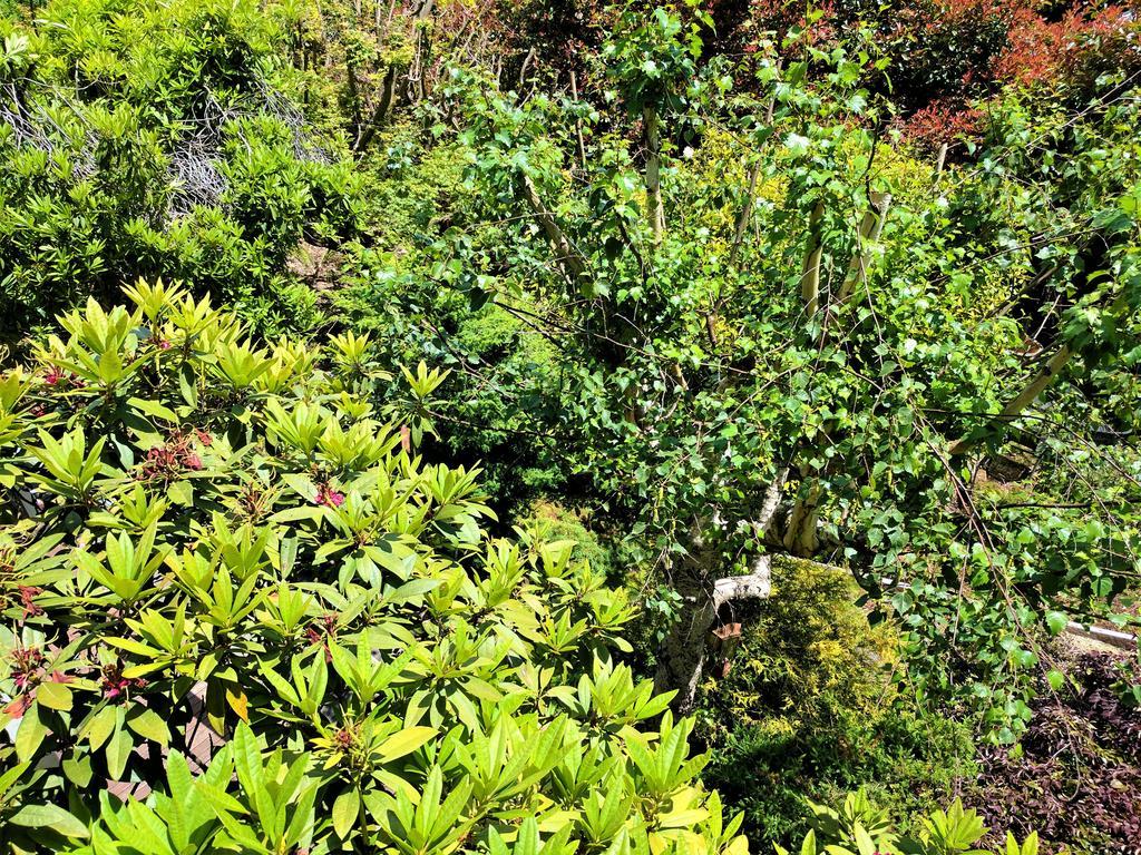 Annie Roes Luxury B&B Bend of Islands Esterno foto